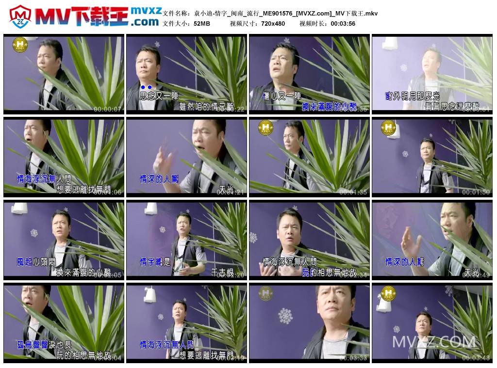 袁小迪-情字_闽南_流行_ME901576